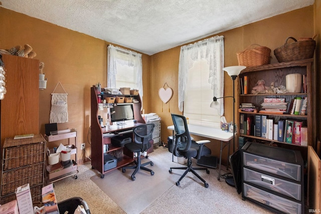 1919 Pierce St, Lafayette, IN 47904 - carpeted office space featuring a textured ceiling