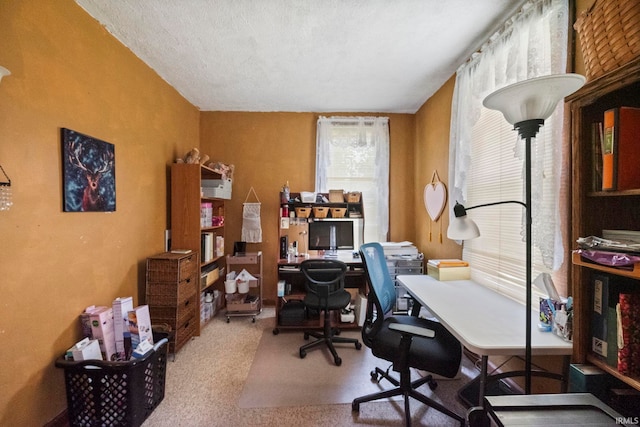 1919 Pierce St, Lafayette, IN 47904 - office with carpet floors and a textured ceiling