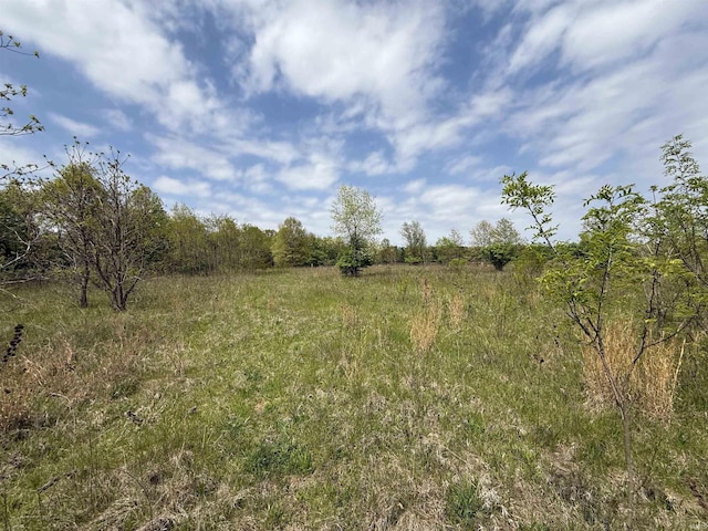 view of undeveloped land
