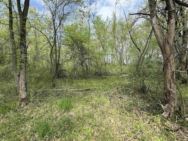 view of wooded area