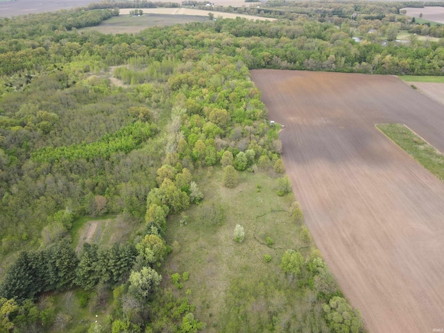 bird's eye view of a forest