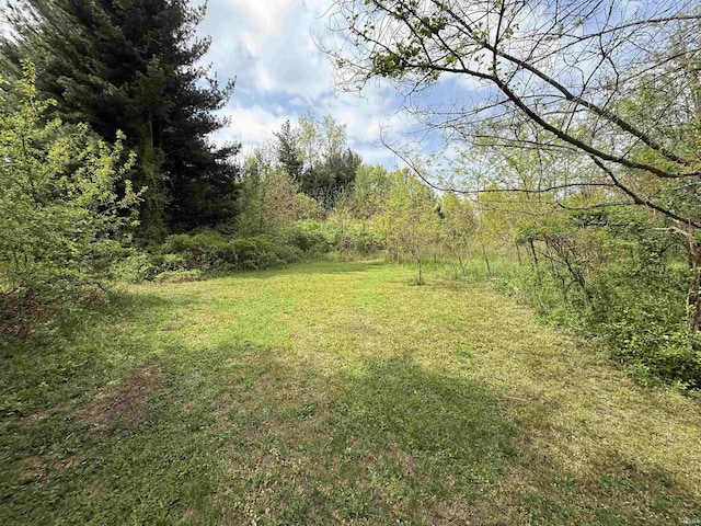 view of grassy yard featuring a wooded view