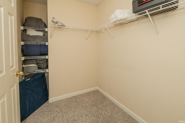 3630 E Tamarron Dr, Bloomington, IN 47408 - spacious closet featuring carpet