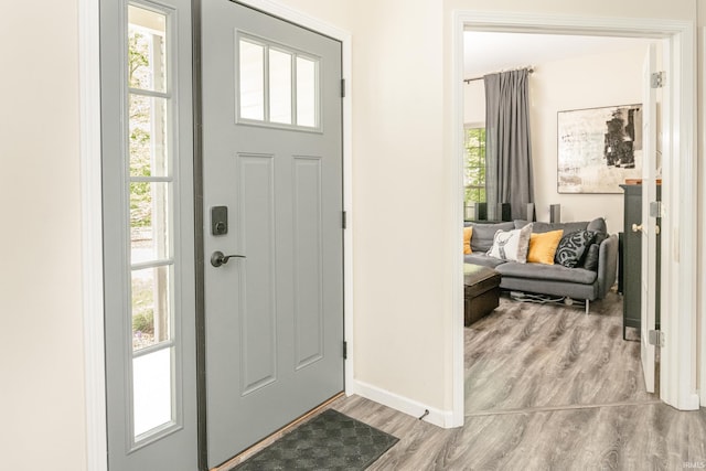 3630 E Tamarron Dr, Bloomington, IN 47408 - entryway featuring wood finished floors, baseboards, and plenty of natural light
