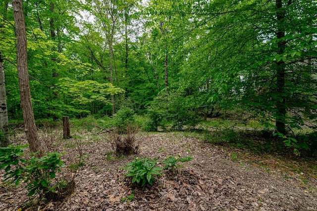 3630 E Tamarron Dr, Bloomington, IN 47408 - view of wooded area