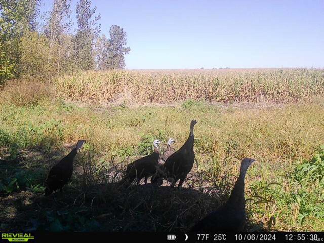 V/LUS 6 Highway, Plymouth, IN 46563