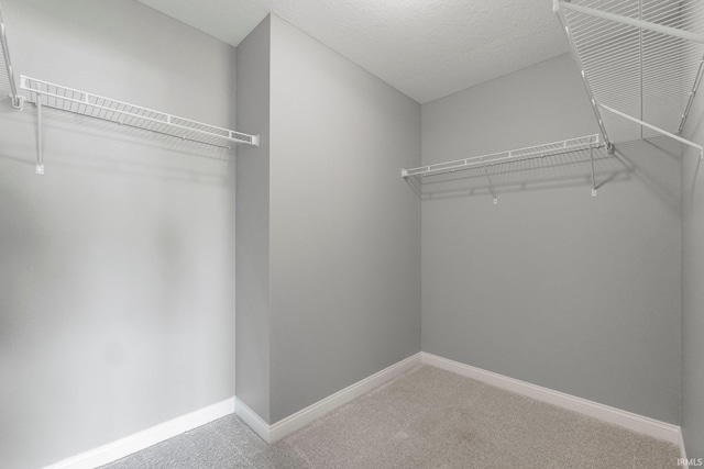 walk in closet featuring carpet floors