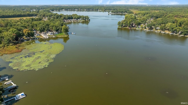 drone / aerial view of a forest and a nearby body of water