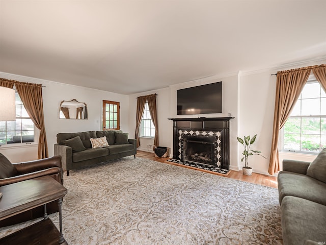 727 Mulberry St, Mount Vernon, IN 47620 - living area featuring a premium fireplace, plenty of natural light, wood finished floors, and crown molding