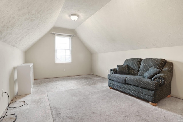 5849 Porterfield Dr, Evansville, IN 47711 - living area with carpet floors, lofted ceiling, and a textured ceiling