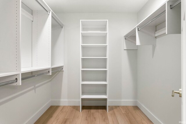 732 S Bend Ave, South Bend, IN 46617 - walk in closet with light wood-type flooring