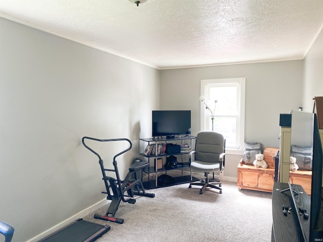 6913 E Jackson St, Muncie, IN 47303 - carpeted office space with ornamental molding, baseboards, and a textured ceiling