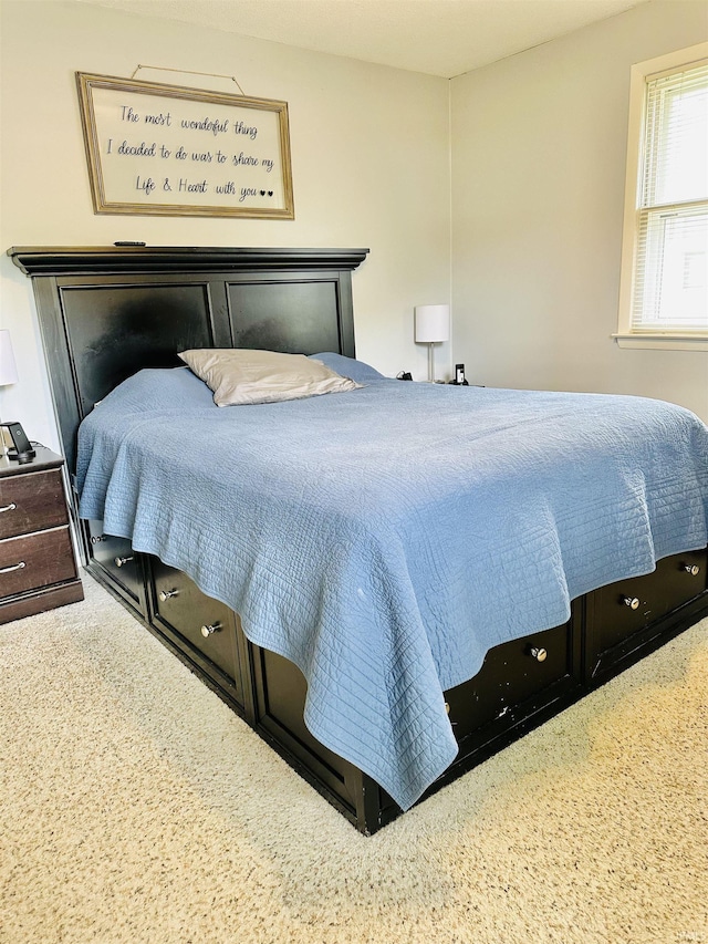 2912 W Twickingham Dr, Muncie, IN 47304 - view of bedroom