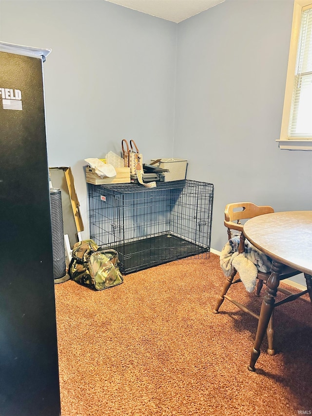 2912 W Twickingham Dr, Muncie, IN 47304 - misc room featuring carpet flooring