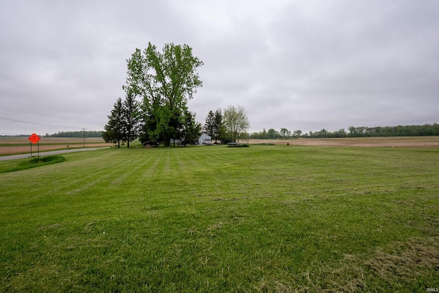 view of green lawn with a rural view