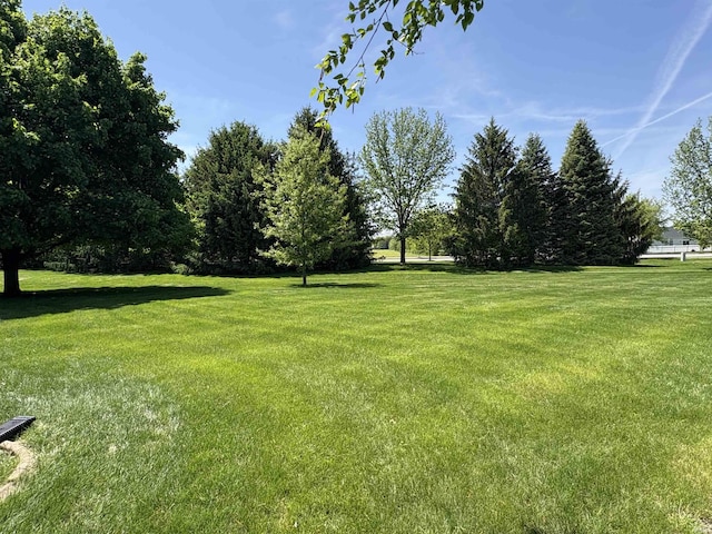 1804 Canyon Creek Dr, Lafayette, IN 47909 - view of green lawn