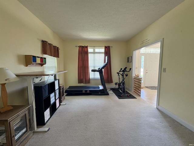 1804 Canyon Creek Dr, Lafayette, IN 47909 - workout area with carpet flooring, a textured ceiling, and baseboards