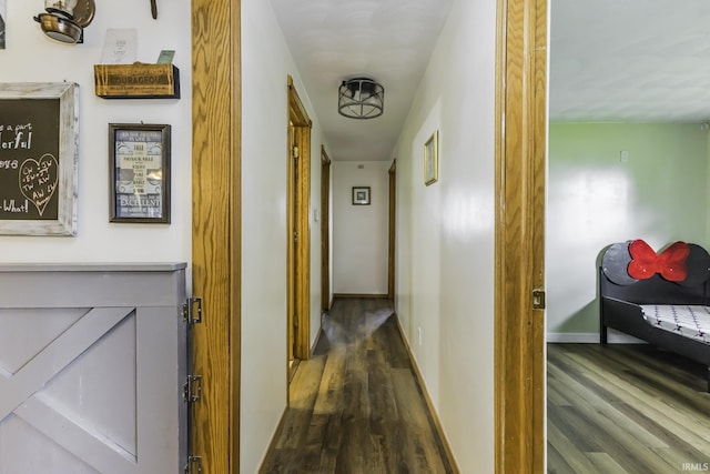 11009 S County Road 300 W, Muncie, IN 47302 - hall featuring dark wood-style floors and baseboards