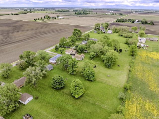 11009 S County Road 300 W, Muncie, IN 47302 - overview of rural landscape