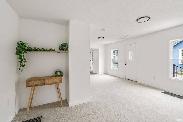 516 W Pike St, Warsaw, IN 46580 - entrance foyer featuring carpet, plenty of natural light, and baseboards