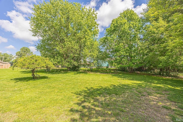 541 Genevieve Ave, Jasper, IN 47546 - view of grassy yard