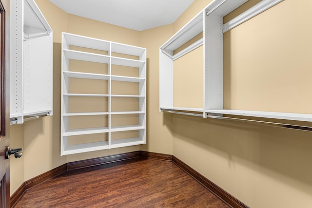 spacious closet with dark wood-type flooring