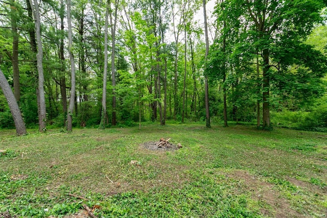 3214 Burr Oak Ave, Elkhart, IN 46517 - view of yard