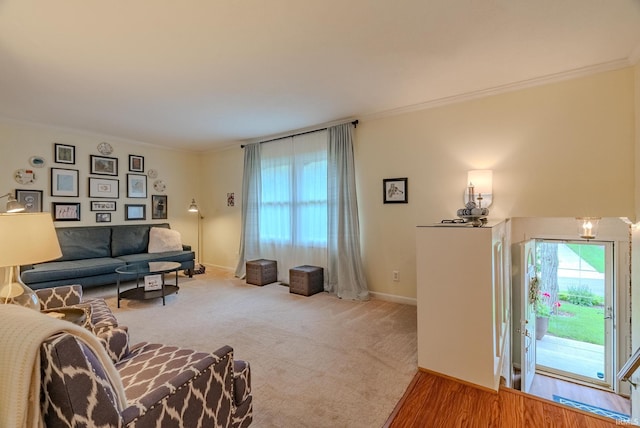 living area with ornamental molding and baseboards
