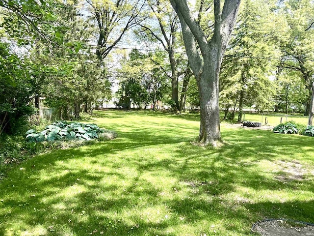 view of grassy yard