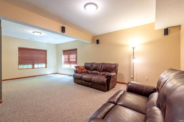 6015 E State Road 46, Bloomington, IN 47401 - carpeted living room with baseboards