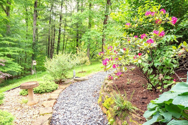 6015 E State Road 46, Bloomington, IN 47401 - view of yard