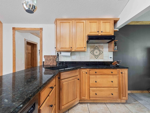 4038 Fahlsing Rd, Woodburn, IN 46797 - kitchen featuring a sink, under cabinet range hood, decorative backsplash, a textured ceiling, and light tile patterned floors