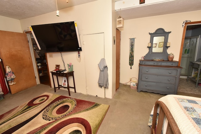 bedroom with carpet and a textured ceiling
