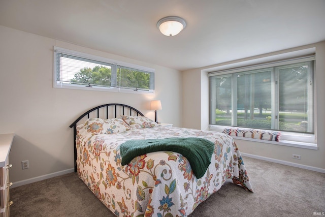 22147 Sunset Ln, Elkhart, IN 46516 - bedroom featuring carpet and baseboards