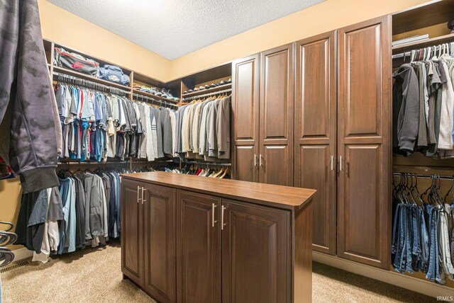6482 Hollopeter Rd, Leo, IN 46765 - spacious closet featuring light carpet
