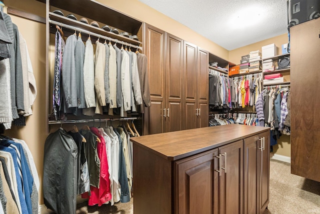 6482 Hollopeter Rd, Leo, IN 46765 - spacious closet with light carpet