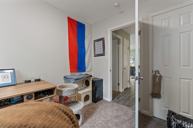office space with carpet, baseboards, and a textured ceiling