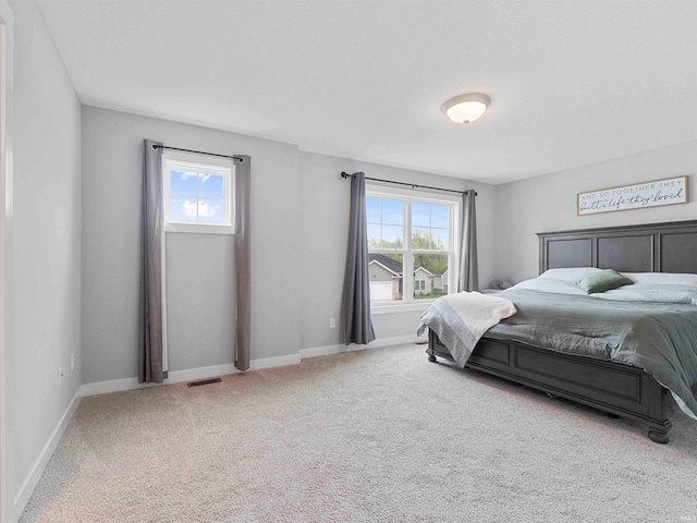 13655 Copper Strike Pass, Fort Wayne, IN 46845 - bedroom with multiple windows, carpet floors, and baseboards