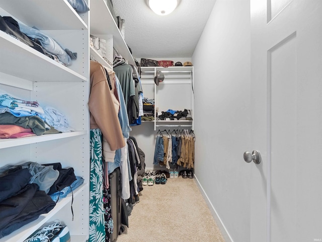 13655 Copper Strike Pass, Fort Wayne, IN 46845 - walk in closet with carpet floors