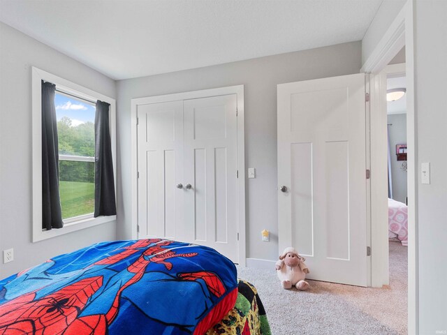 13655 Copper Strike Pass, Fort Wayne, IN 46845 - bedroom featuring carpet, a closet, and baseboards