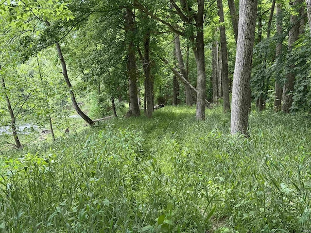 0 W Cades Hollow Rd, Veedersburg, IN 47987