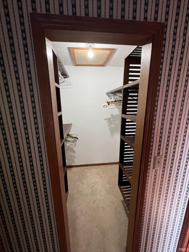 211 Mccutcheon Dr, Lafayette, IN 47909 - spacious closet with carpet flooring