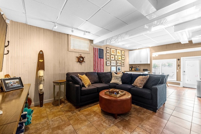 living area featuring wood walls