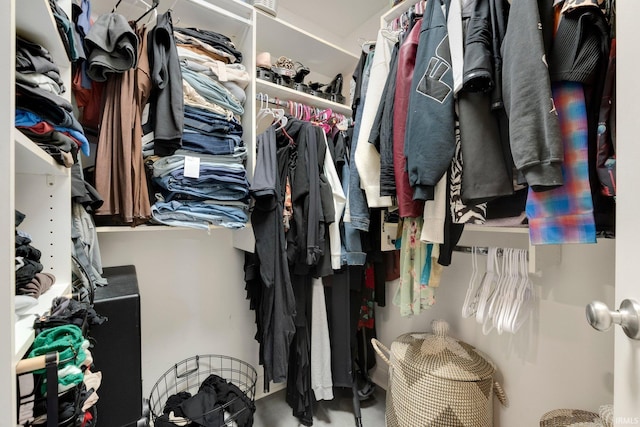 view of spacious closet