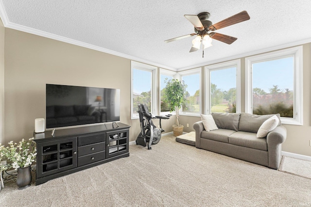carpeted living area with a textured ceiling, ceiling fan, baseboards, and ornamental molding