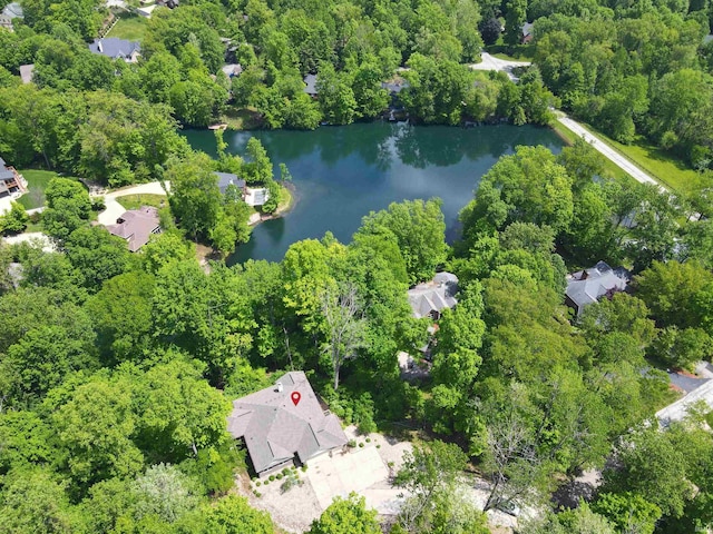 1846 E Cumberland Ter, Martinsville, IN 46151 - aerial view of property's location with a nearby body of water and a heavily wooded area