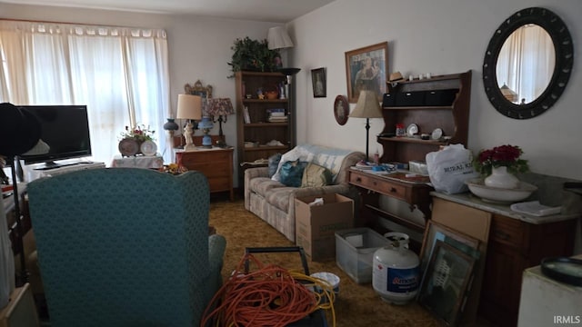 2911 S 9th St, Terre Haute, IN 47802 - view of carpeted living room