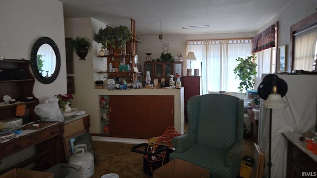 2911 S 9th St, Terre Haute, IN 47802 - living area with carpet