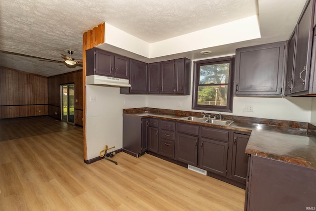 kitchen featuring a sink, under cabinet range hood, dark countertops, light wood-style flooring, and ceiling fan