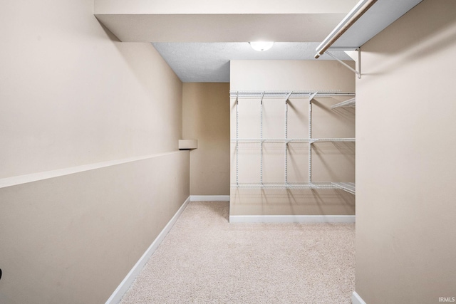spacious closet featuring carpet flooring